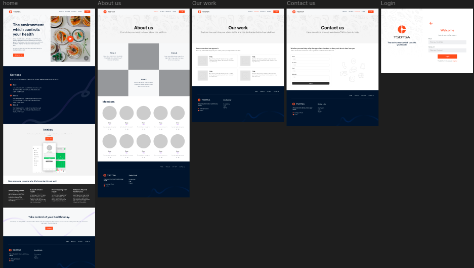 Design of Tsotsa platform